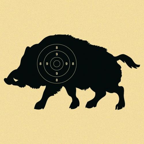 Wildschweinscheibe